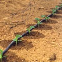 滴头间距30厘米 100米价格 膜下滴灌管16mm内镶贴片式滴灌带管蔬菜水果大棚自动灌溉水管