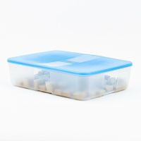 3.3升冷冻保鲜盒蓝色 特百惠3.3L大容量冷冻之家保鲜盒冷冻盒储藏盒冻肉旗舰特价套装