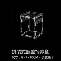 8×7×10点纹(竖版)爬盒 爬虫箱亚克力蜘蛛蜥蜴角蛙陆龟守宫饲养盒饲养箱爬虫用品