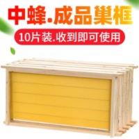 中蜂成品带框巢础蜂巢全套蜂巢框蜂蜡意脾蜜蜂箱养蜂工具蜂具 中蜂成品带框巢础蜂巢全套蜂巢框蜂蜡意脾蜜蜂箱养蜂工具蜂具