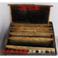 诱蜜蜂老蜂巢脾老脾蜂蜡中蜂意蜂诱蜡老巢脾招蜜蜂专用工具蜂窝 诱蜜蜂老蜂巢脾老脾蜂蜡中蜂意蜂诱蜡老巢脾招蜜蜂专用工具蜂窝