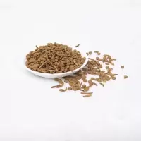 刺猬粮食 非洲迷你刺猬活物幼崽宠物活体自家养殖迷你宝宝粮食温顺亲人粘人