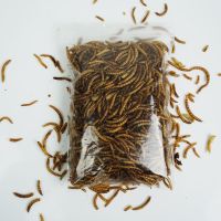 袋装面包虫干50g(买2送1) 刺博士刺猬综合粮非洲迷你刺猬饲料主食灌装粮食面包虫干 400g