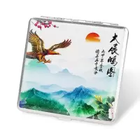 大鹏展翅 单独烟盒 烟盒套20支装超薄创意个性金属香烟盒子防水防压皮革烟盒送礼