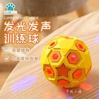 橙+黄星空球 发声 梅花脚宠物玩具狗狗训练发声发光橡胶耐咬磨牙解闷球大小狗都喜欢
