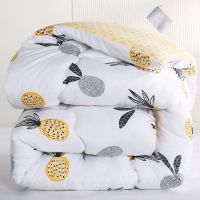 菠萝 [普通款]1.5x2米三斤 冬季加绒被子冬天加厚冬被羊羔绒春秋被学生宿舍被单人双人工地被