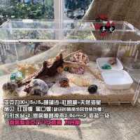 海盐1袋 寄居蟹亚克力饲养套装 小号透明盒珊瑚沙海盐贝壳海螺套装