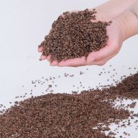 精品熟苦荞 熟苦荞1.8斤 散装苦荞麦壳成人儿童婴儿枕头全荞麦枕芯枕头填充物荞麦皮批