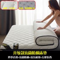 升级款抗菌防螨针织布白[厚度5cm] 宽60cmx长120cm 乐加冬季床垫软垫家用睡垫加厚床垫1.8米床1.5单人学生
