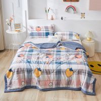 草莓物语(绗缝工艺) 150x200cm【整张羽丝棉填充】 乐加LEHOME夏天空调被水洗棉夏凉被单人夏季宿舍双人薄被子