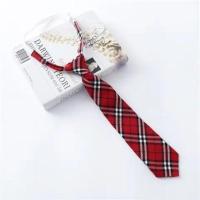 红格领带_ 小学生校服领带领结套装男女大童蝴蝶结领花格子棉学院风英伦风