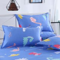 芦荟棉-恐龙世界 枕套一只(实发一个枕套) 斜纹磨毛枕套一对装单双人枕头套成人大号枕套学生宿舍加厚枕头套