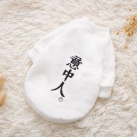 白色意中人 XS(建议体重1-3斤) 可爱小狗狗冬季衣服泰迪猫咪宠物法斗小型幼犬比熊柯基冬天秋冬装