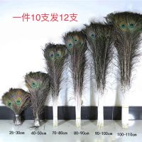 90至100cm10支(大眼) 天然孔雀羽毛翎尾家居摆件真羽毛装饰品翅膀客厅花瓶软装橱窗拍照