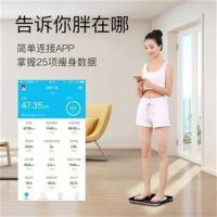 冰晶白 家用连手机APP脂肪称体脂测量健康秤体重秤测内脂充电称减肥秤