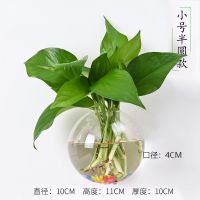 小号半圆+配件 壁挂水培花瓶玻璃挂墙绿萝花盆创意墙上墙面装饰品挂件贴墙小花瓶