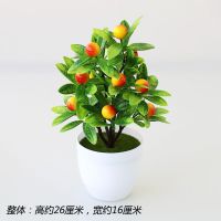 圆盆如意果夕红 塑料假花仿真水果盆景富贵发财果植物小盆栽室内桌面摆件家居装饰