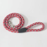 甩绳1.1米红色 龙头绳子健身龙高级绳子舞龙甩球球绳套装甩球舞龙绳子甩绳