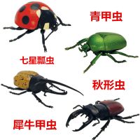 4款拼装昆虫第一代(有七星瓢虫 拼装恐龙蛋拼插昆虫爬行动物模型螳螂蚂蚁蜘蛛甲虫蝎子 4岁以上拼