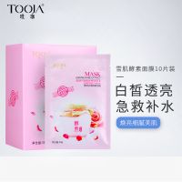 10 片 Z雪肌丝滑酵素面膜10片装 补水保湿亮白冷敷贴面膜