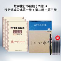 4本套(笔壳1+笔芯10) 志飞习字行书魔方百家姓笔画数字化练字法叶法志字帖成人凹槽密码