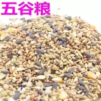 五谷粮50克体验装(2份送跑球) 仓鼠粮食(2份送跑球)主粮鼠粮仓鼠木屑面包虫干仓鼠用品仓鼠套餐