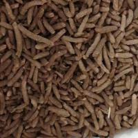 新鲜卵 半斤 活体蚂蚱 活体蝗虫 东亚飞蝗 蚂蚱卵 虫卵