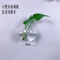 小馒头玻璃瓶+配件(不含植物) 挂墙玻璃瓶悬挂式墙上绿萝花盆鱼缸创意餐厅水培花瓶家居壁挂饰品