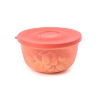 多彩保鲜小圆碗红色 特百惠冷藏保鲜盒 多彩小圆碗 400ml保鲜密封盒四件套饭盒 密封罐