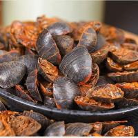 干土元250g(有点碎) 土元土鳖虫活的养殖蝎子蜈蚣蜘蛛蜥蜴鸟类食物250g地鳖子