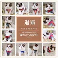 牵引绳颜色随机一个 S（建议2-6斤） 猫咪牵引绳防挣脱专用溜猫绳遛猫绳背心式胸背带栓小猫绳子猫链