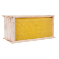 成品巢础[中蜂10个装] 中蜂带框巢础成品巢框巢础杉木深房蜜蜂巢脾蜂脾蜂框养蜂工具