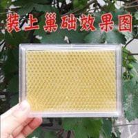 巢蜜盒500克12个 全透明塑料一斤蜜蜂蜂巢蜜巢蜜格巢蜜框养蜂工具 巢蜜盒500克12个 全透明塑料一斤蜜蜂蜂巢蜜巢蜜格