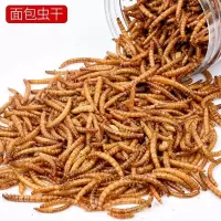 面包虫干50克/袋 仓鼠营养主食乌龟食物补钙巴西龟寸金龟食淡水小鱼干虾干面包虫干