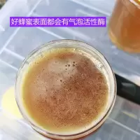 蜂蜜 野生蜂巢蜜百花蜂巢蜜封盖老巢土蜂蜜带巢野花蜂蜜500g嚼着吃瓶装