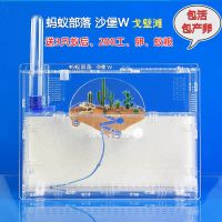 21款戈壁滩W+3后200工+蚁粮 蚂蚁城堡工坊部落沙堡W沙丘别墅 生态箱宠物蚁巢送蚁后包产卵包活