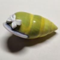 寄居蟹替换壳diy海螺贝壳卷贝鱼缸水族大小寄居蟹壳 寄居蟹替换壳diy海螺贝壳卷贝鱼缸水族大小寄居蟹壳