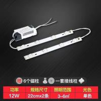 (透镜)白光 22CM2条12瓦 led灯条长条吸顶灯灯芯节能灯灯管超亮灯板灯带贴片灯珠灯泡光源