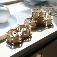 sheeplazy木质循环弹珠解压套盒模型DIY拼装积木儿童逻辑思维玩具