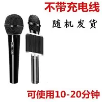 老式款[淘汰款式]卍13年2月造 [南极人品牌补贴20元] 南极人话筒音响一体麦克风全民k歌手机唱歌神器家用无线蓝牙儿童