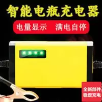 摩托车电瓶充电器12v通用型铅酸蓄电池踏板修复摩托车12伏充电器 摩托车电瓶充电器12v通用型铅酸蓄电池踏板修复摩托车1