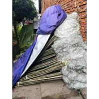 丝扫街扫帚大清洁扫扫把扫家用马路塑料大街环卫