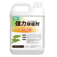 强力除垢剂(5斤装) 强力除垢剂工业冷却塔中央空调换热器金属管道锅炉水箱水垢清洗剂