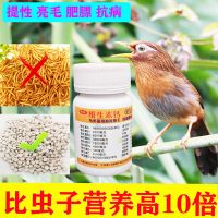 鸟用维生素钙片4百粒瓶 面包虫活体黄粉虫片健骨丸换毛丸代替虫子画眉食鹩哥食八哥食饲料