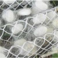 蚕宝宝活体宠物专用结茧网 春蚕 白蚕 桑蚕 结茧网 质量保证 蚕宝宝活体宠物专用结茧网 春蚕 白蚕 桑蚕 结茧网 质