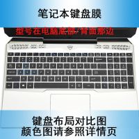 硅胶透明凹凸带格子 F117-VCi1p 机械师F117键盘膜T58 -V电脑T90 PLUS笔记本15.6保护套17.