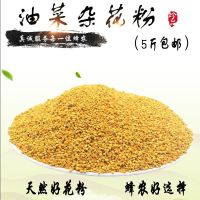 半斤试用装 油菜杂粉养蜂喂蜂蜂用花粉天然花粉蜜蜂饲料花粉颗粒喂蜂蜂粮