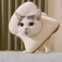 面包圈 S号 猫耻辱脖圈伊丽莎白圈 猫咪软布项圈脖套防舔绝育后用品可爱头套