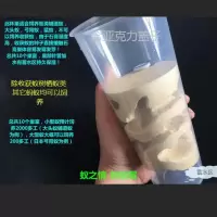 石膏杯巢*1 石膏杯蚁巢 石膏巢杯巢蚂蚁王国城堡蚂蚁的家蚂蚁盒子蚂蚁工坊