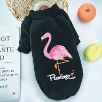 无帽-黑色火鸟 XS 小狗狗宠物春秋衣服巴哥泰迪金毛中小型犬两腿卫衣猫咪法斗无帽衣